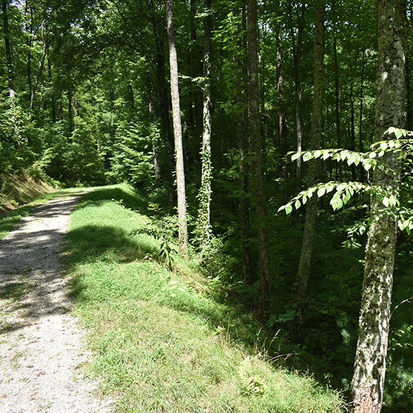 Buy NC Land Site #25