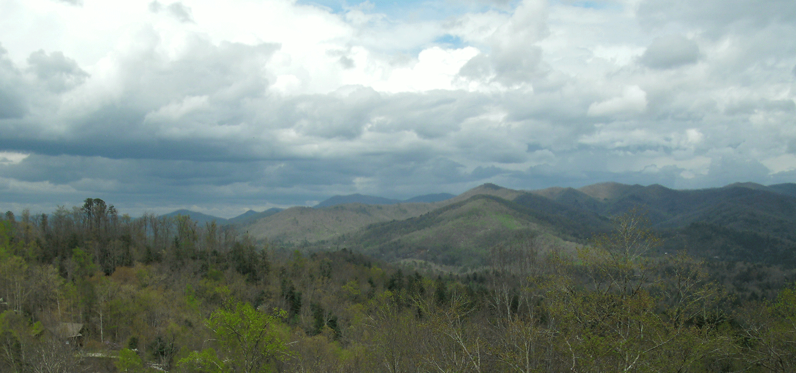 North Carolina - Long Branch Estates group